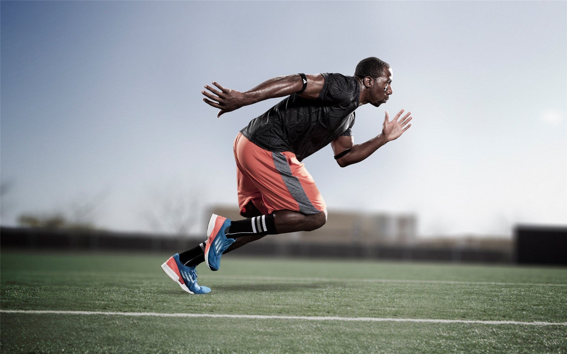 世界马术场地障碍世界杯 总决赛多匹良驹零罚分进入附加赛